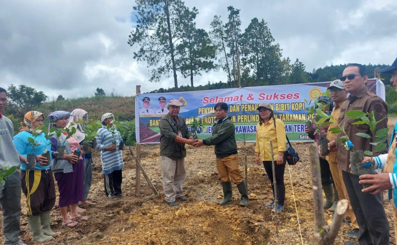 Bupati Samosir Salurkan Bibit Kopi dan Pupuk Bantuan BBPPTP Medan