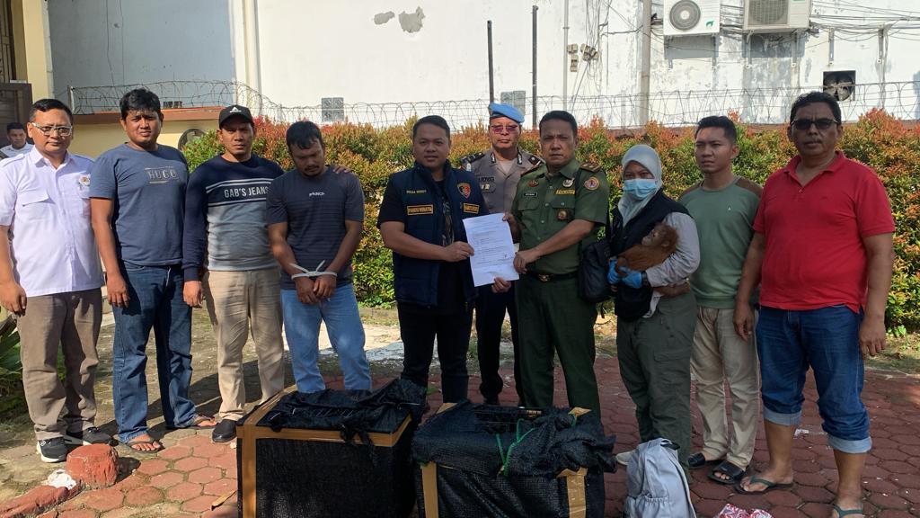 Kurir Perdagangan Satwa Dilindungi Diringkus Polda Sumut