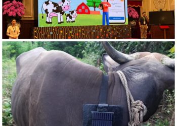 Moo Apps sebuah inovasi teknologi yang dirancang sebagai alat pemantau kesehatan hewan ternak terintegrasi dengan aplikasi ponsel.