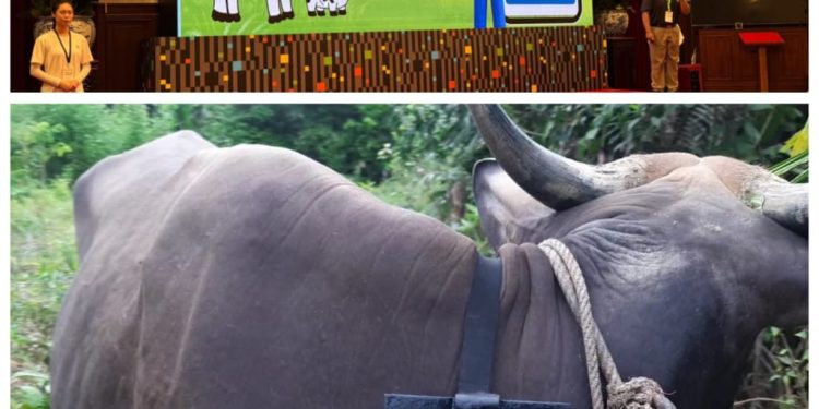 Moo Apps sebuah inovasi teknologi yang dirancang sebagai alat pemantau kesehatan hewan ternak terintegrasi dengan aplikasi ponsel.