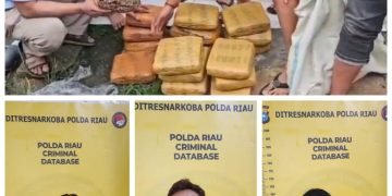 Tim Opsnal Subdit 2 Ditresnarkoba Polda Riau saat melakukan penggerebekan 15,61 Kilogram narkotika jenis ganja, Sabtu (18/1/2025).