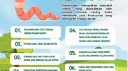 Januari – Juni 2025, 114 Kasus Kecacingan di Medan